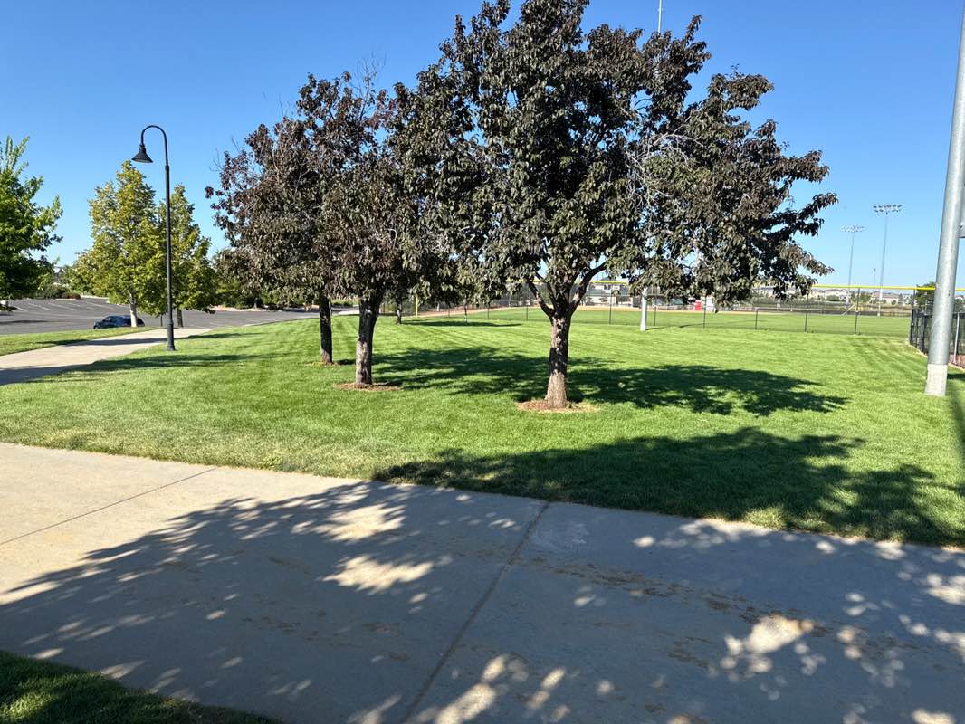 walking near me in Salisbury Equestrian and Sports Park in autumn