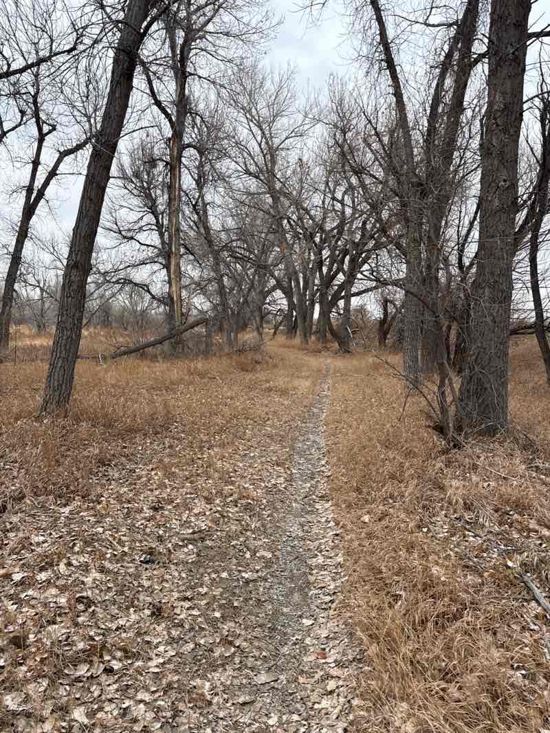 walking near me in Railbender Park in winter