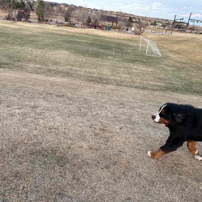 Kevin Sullivan post 3