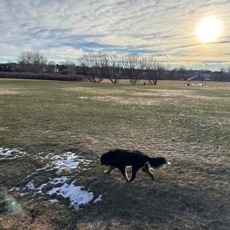 Kevin Sullivan post 1