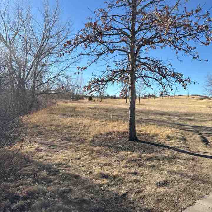 Kevin Sullivan post 2