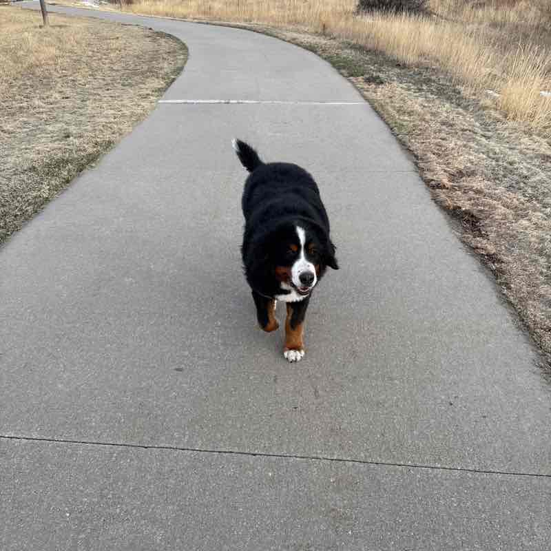 Kevin Sullivan post 1