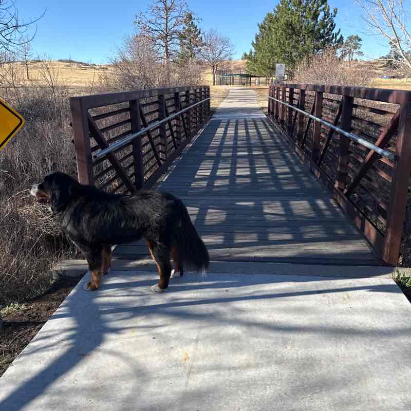 Kevin Sullivan post 1