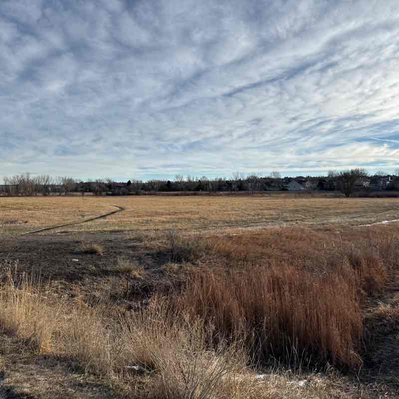 Kevin Sullivan post 3