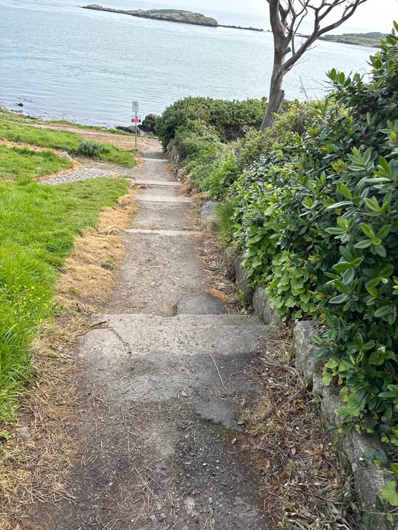walking near me in Coliemore Park in spring