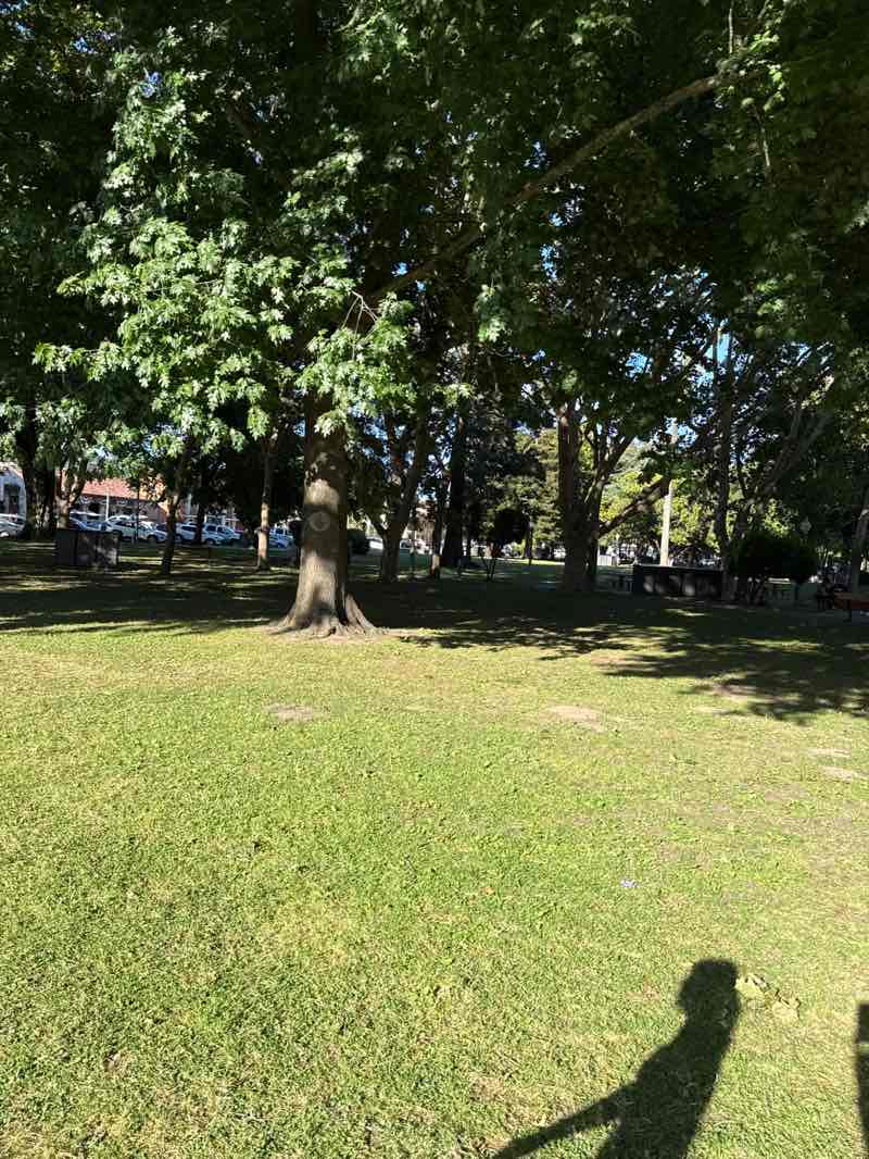 walking near me in Sonoma Plaza in summer
