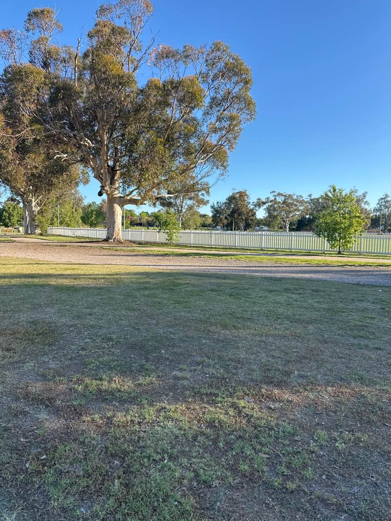 walking near me in Sir Francis Forbes Park in spring