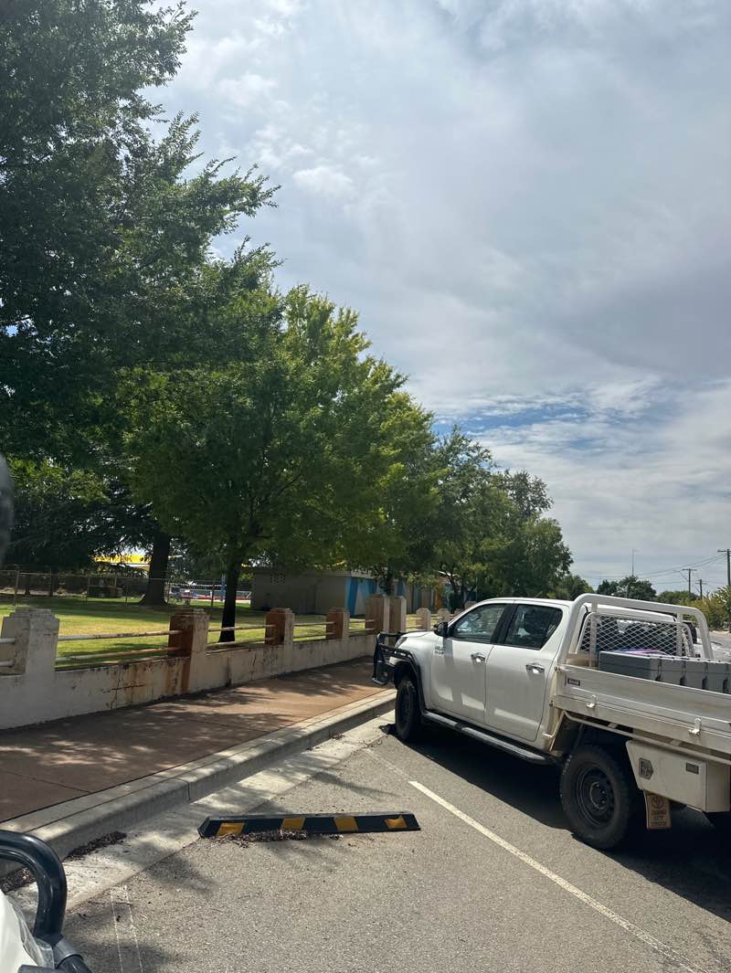 walking near me in Holland Park in summer