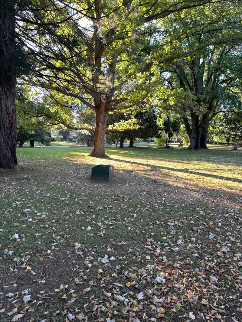 walking near me in Cook Park in autumn