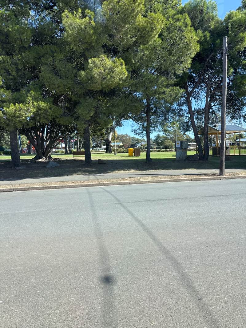 walking near me in McCann Park in autumn