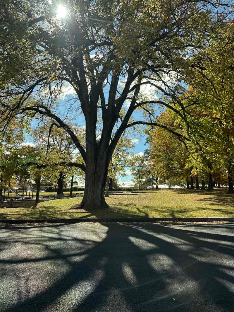 walking near me in Newman Park in autumn