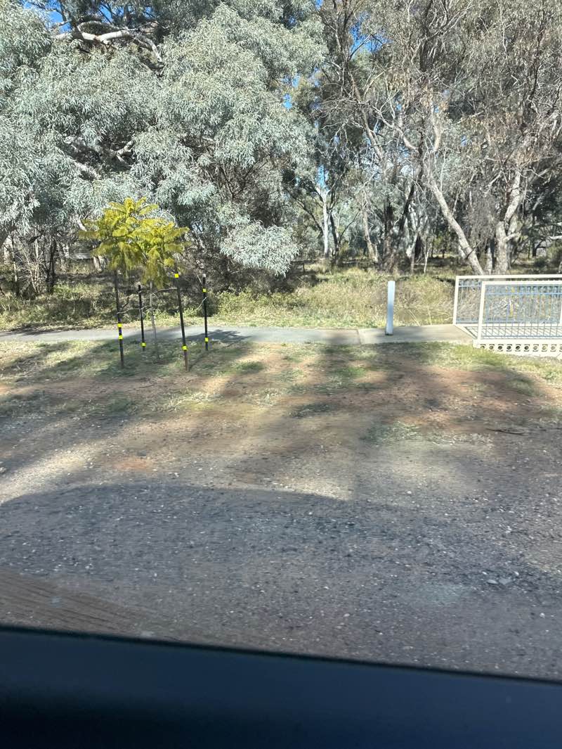 walking near me in Rotary Park in winter