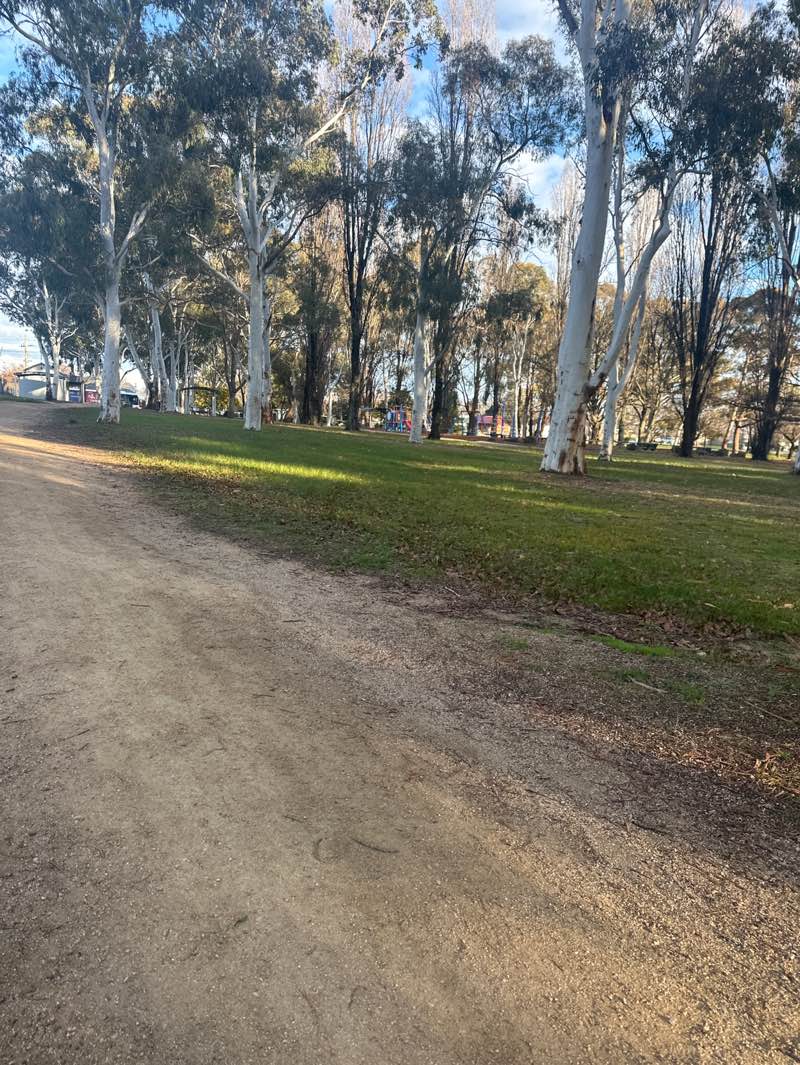 walking near me in Elephant Park in spring