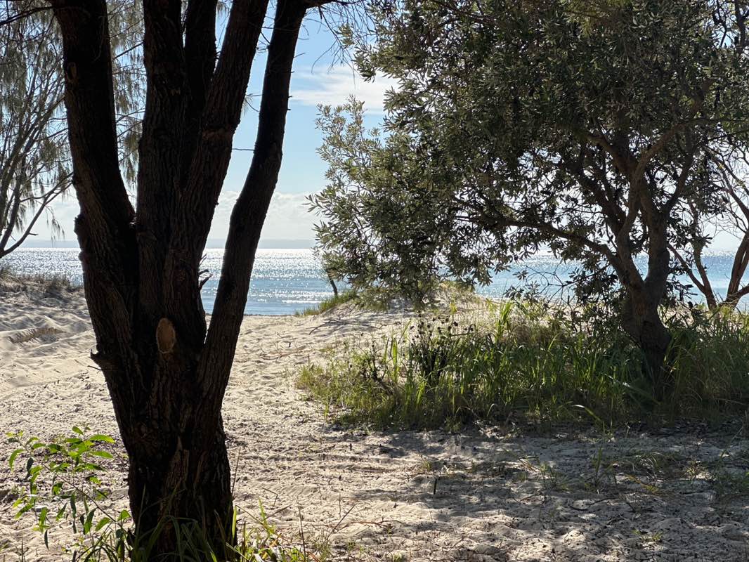 walking near me in Gheebulum Coonungai (Moreton Island) National Park in autumn