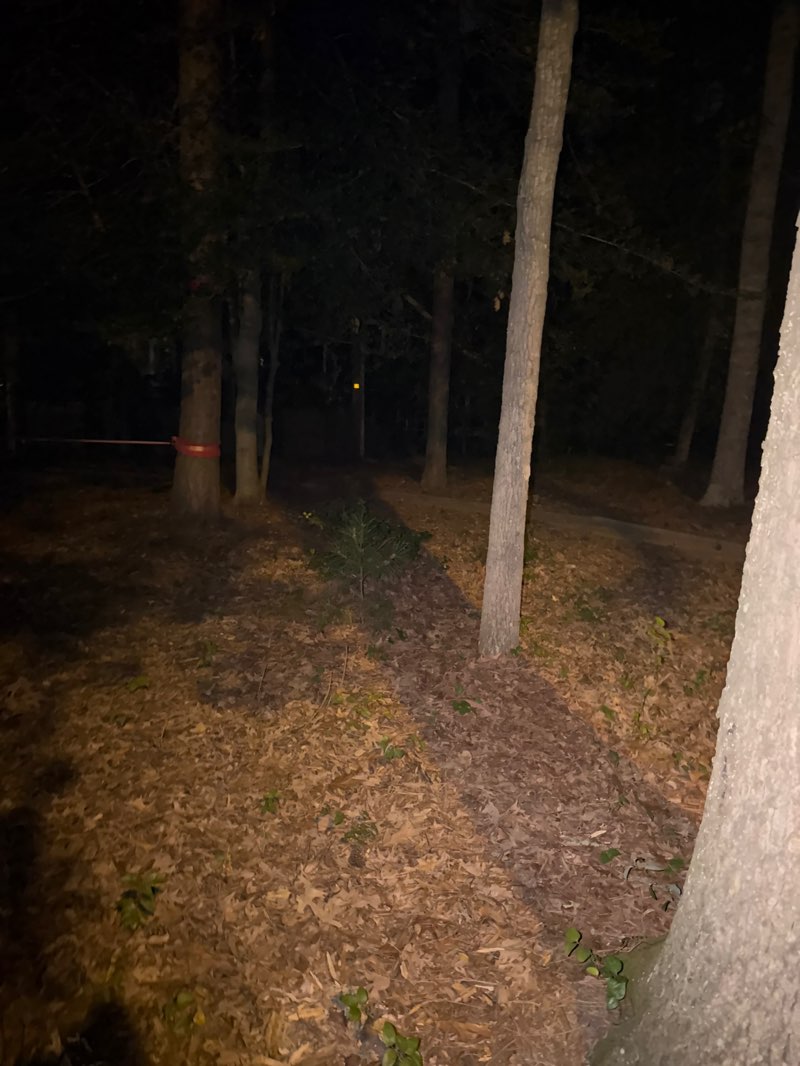walking near me in Deer Park in summer