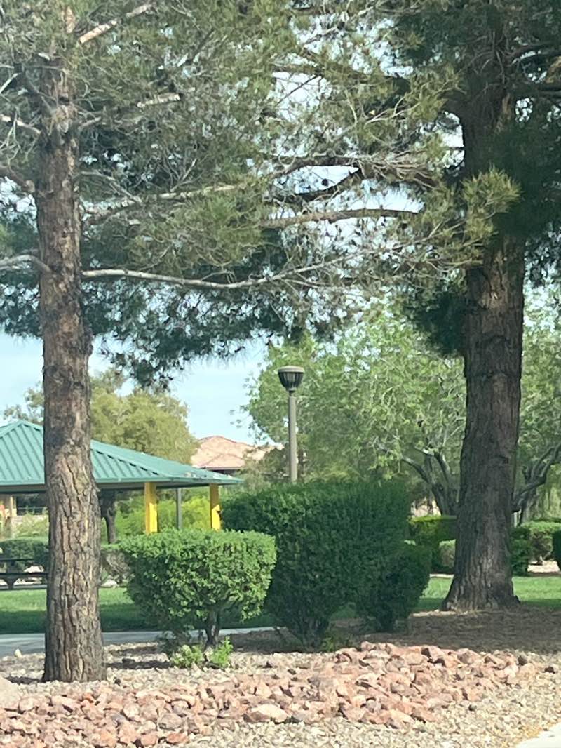 walking near me in Teal Pedals Park in spring