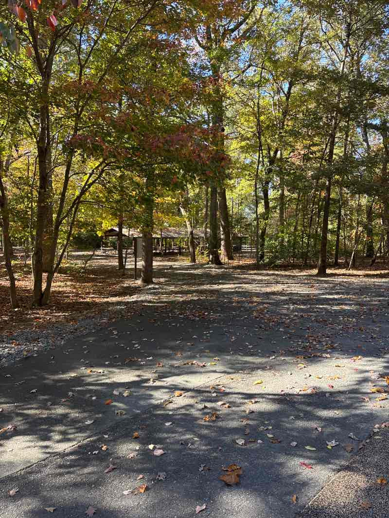 walking near me in Horizons Park in autumn