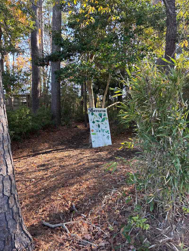 walking near me in Malcolm Register Park in winter