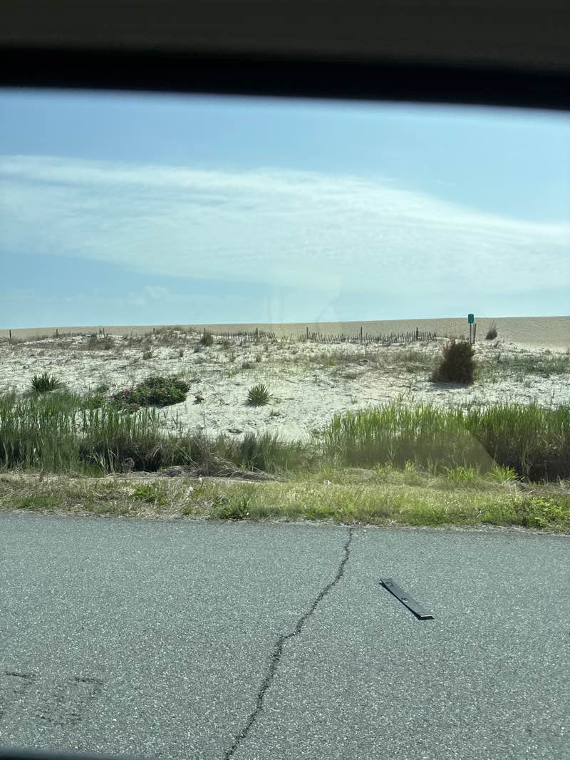 walking near me in Delaware Seashore State Park in spring