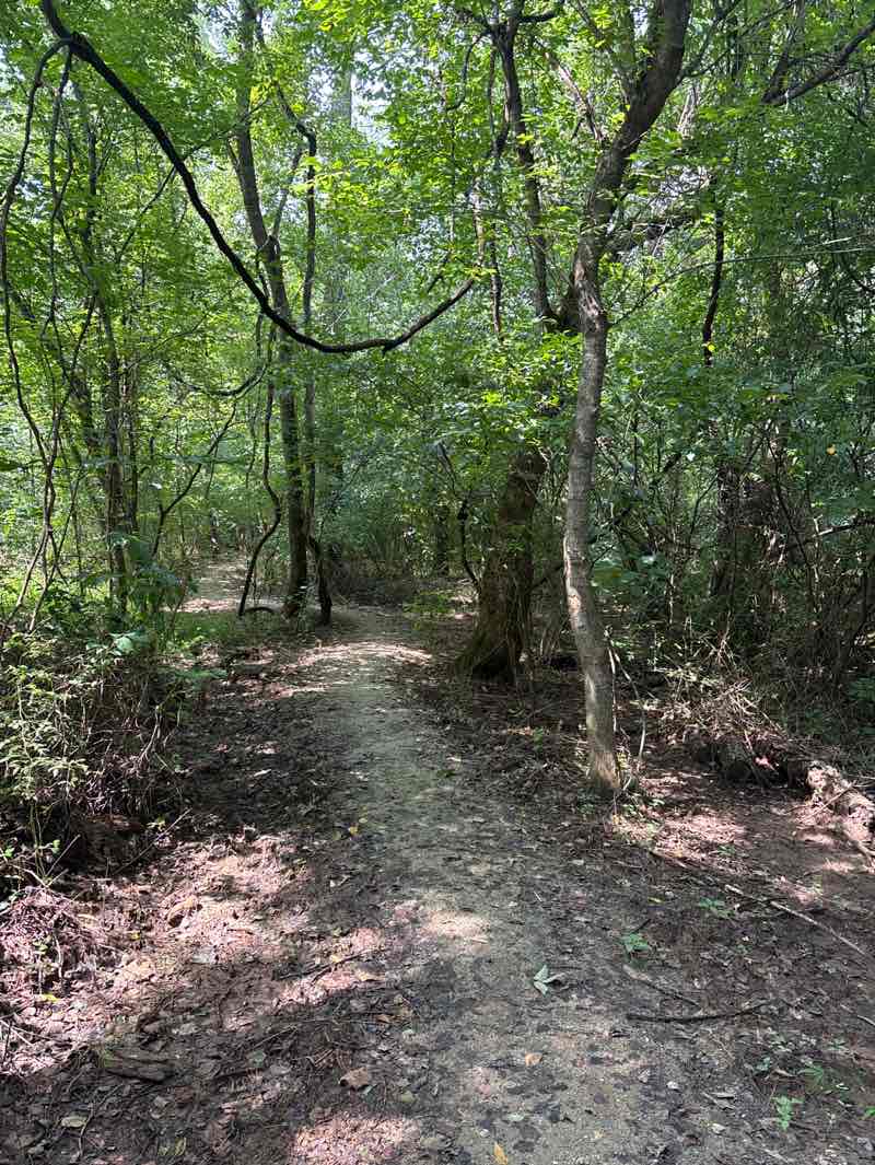 walking near me in Walnut Bottoms in autumn