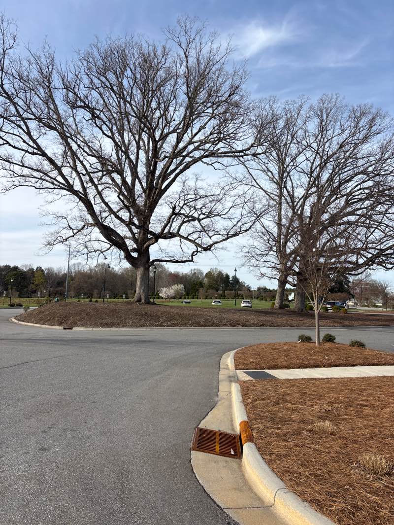 walking near me in Jack Warren Park in spring