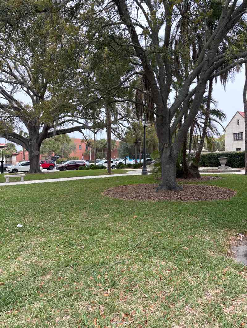 walking near me in Government House Yard in spring
