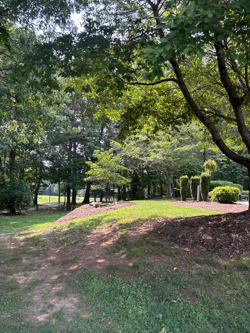 walking near me in Central Park in summer
