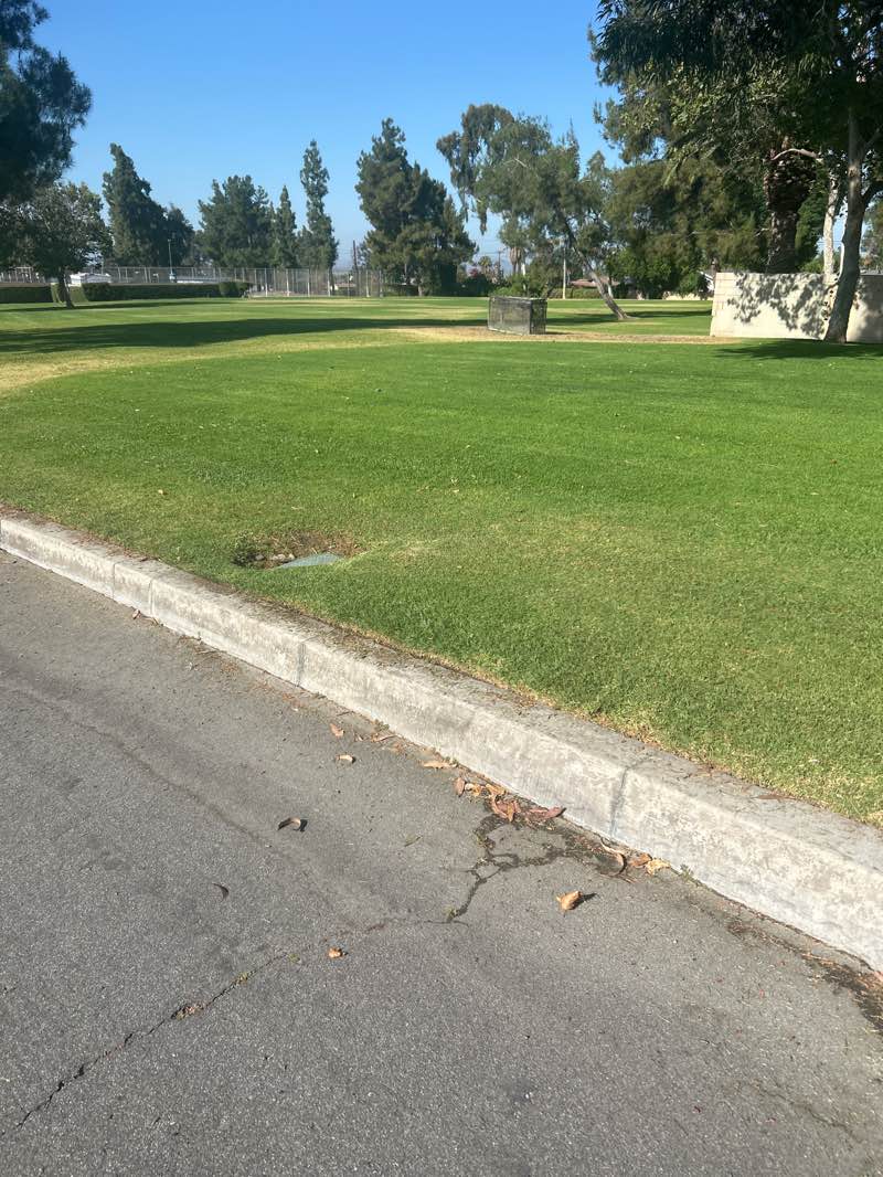 walking near me in Moreno Vista Park in summer