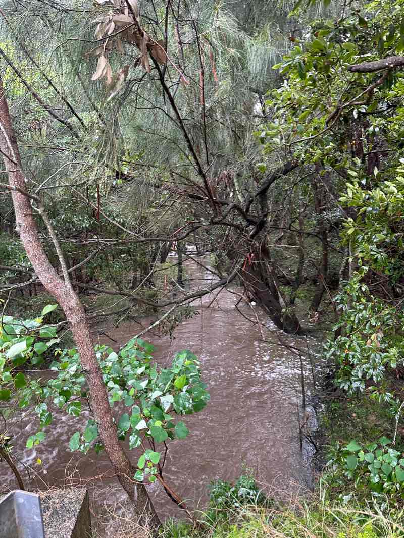 walking near me in Mollymook Beach Reserve in summer