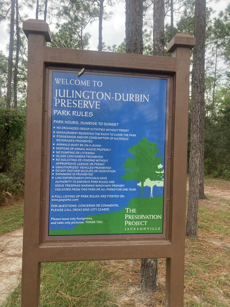 walking near me in Julington-Durbin Preserve in autumn