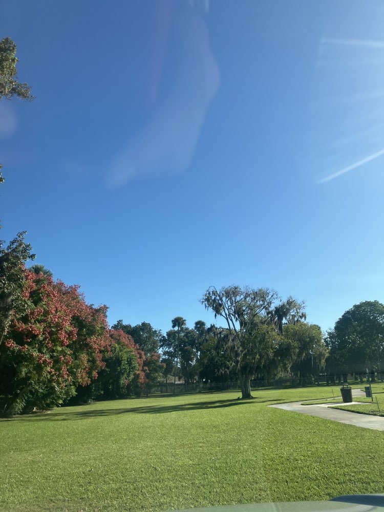 walking near me in Central Park in autumn
