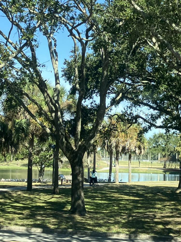 walking near me in City Center Municipal Complex in autumn