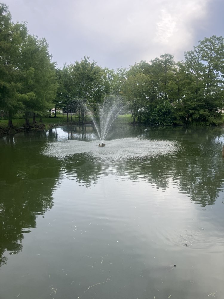 walking near me in Magnolia Park in autumn