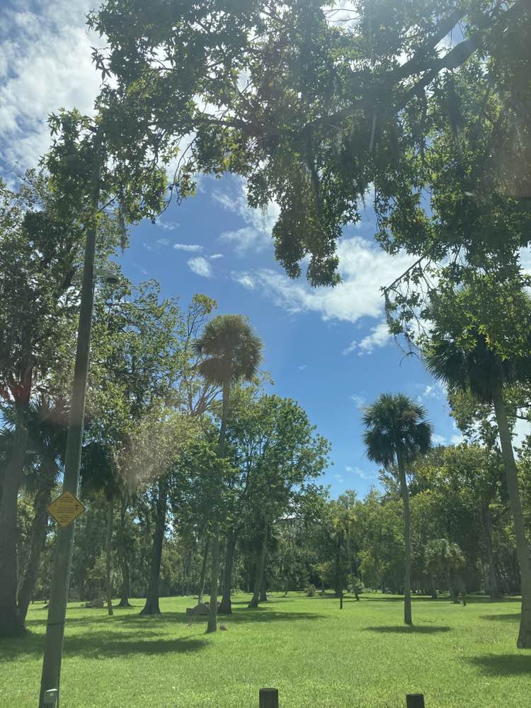 walking near me in Tuscawilla Park in autumn