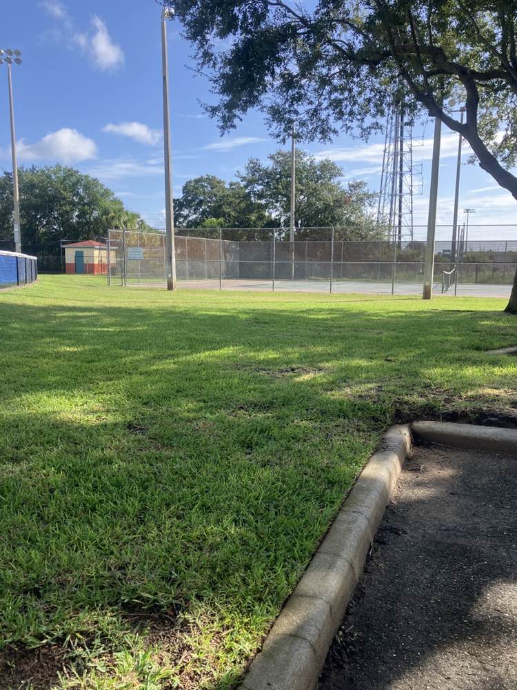 walking near me in James Park in autumn