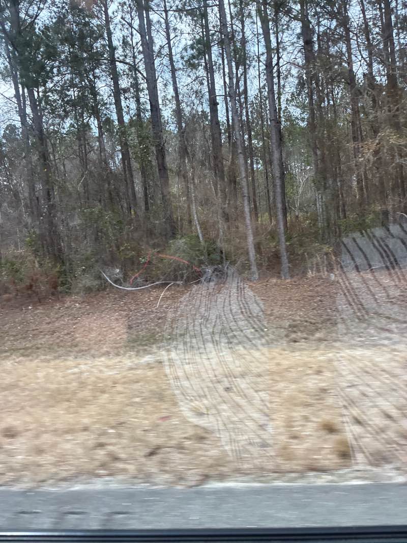 walking near me in Dixon Memorial State Forest and Wildlife Management Area in winter