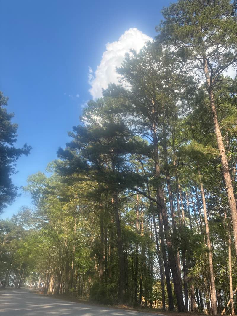 walking near me in Mistletoe State Park in spring