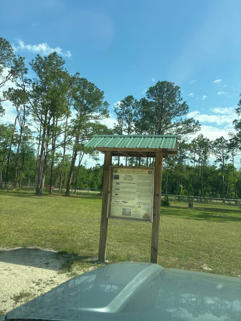 walking near me in Tiger Bay State Forest in spring