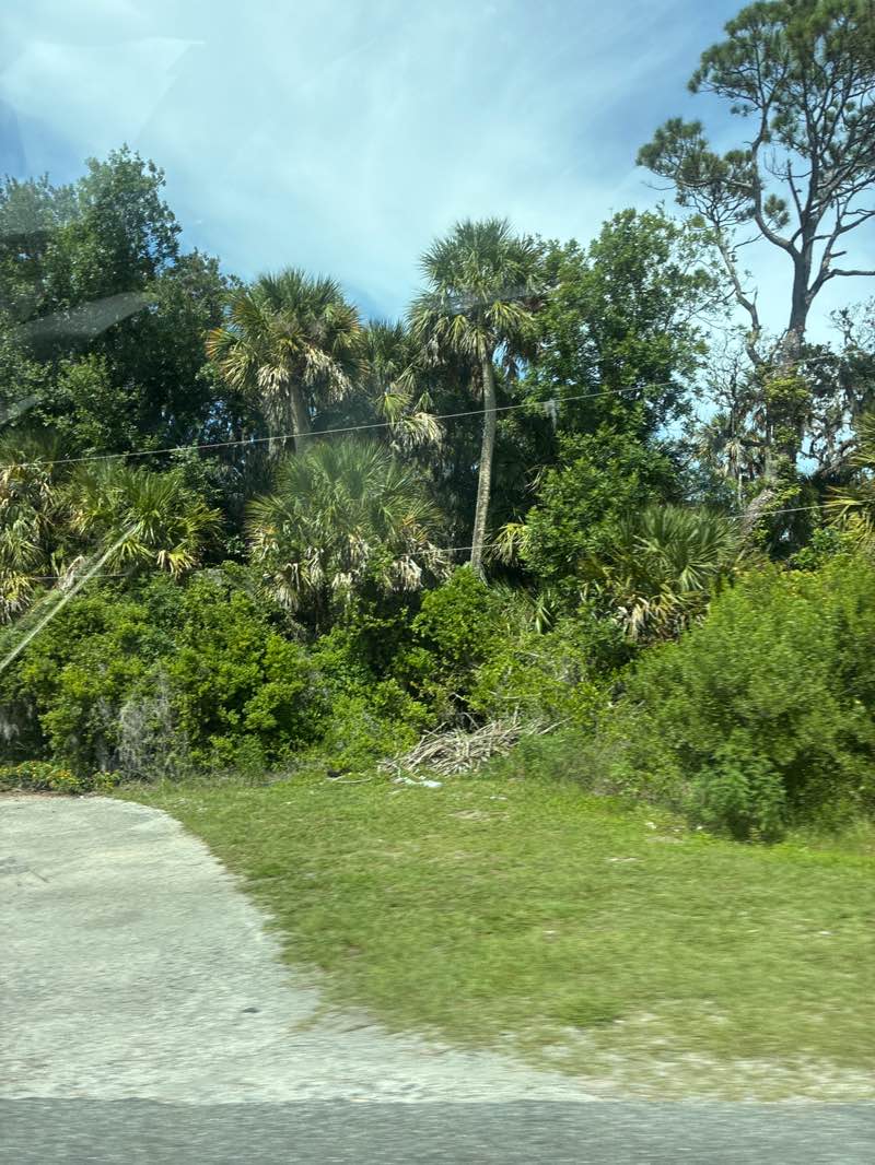 walking near me in Spruce Creek Park in summer