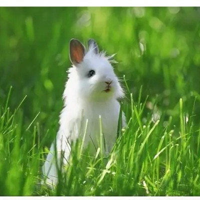 August Group Challenge Angi_Kam post image