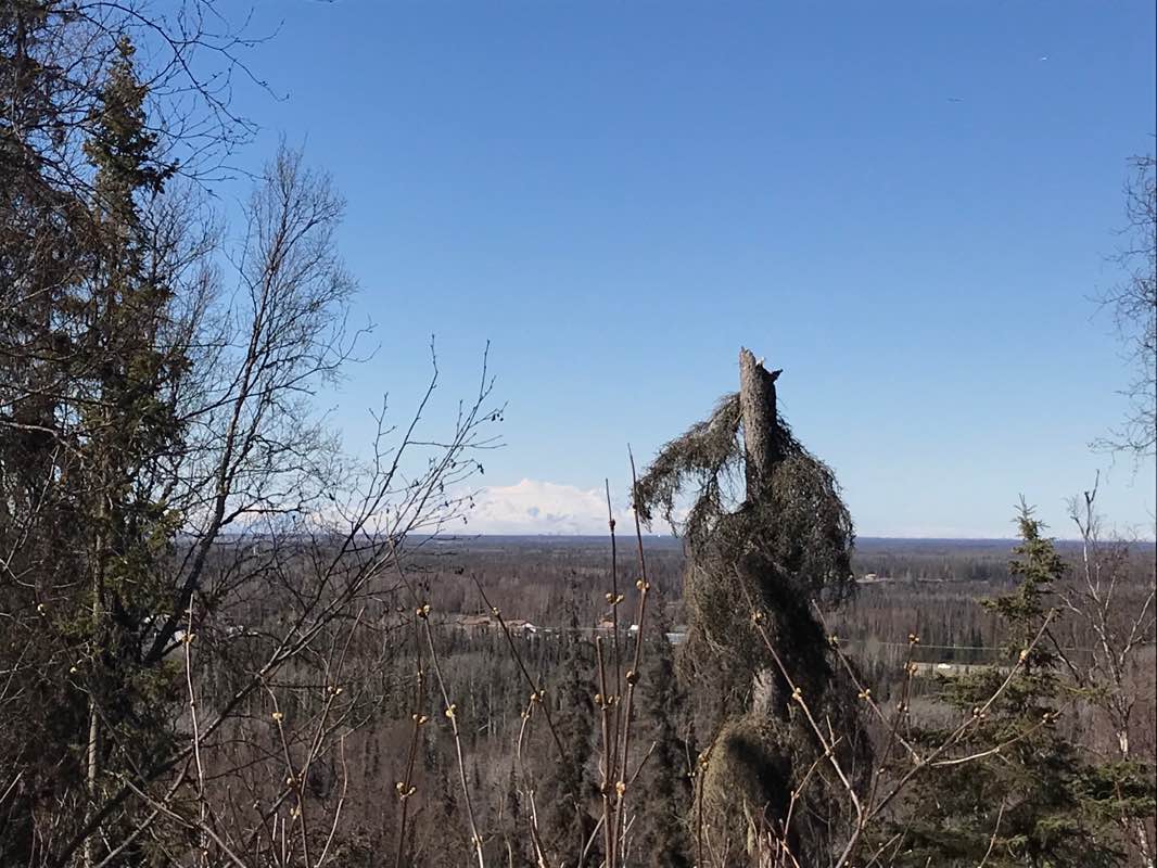 walking near me in Tsalteshi Trails in winter