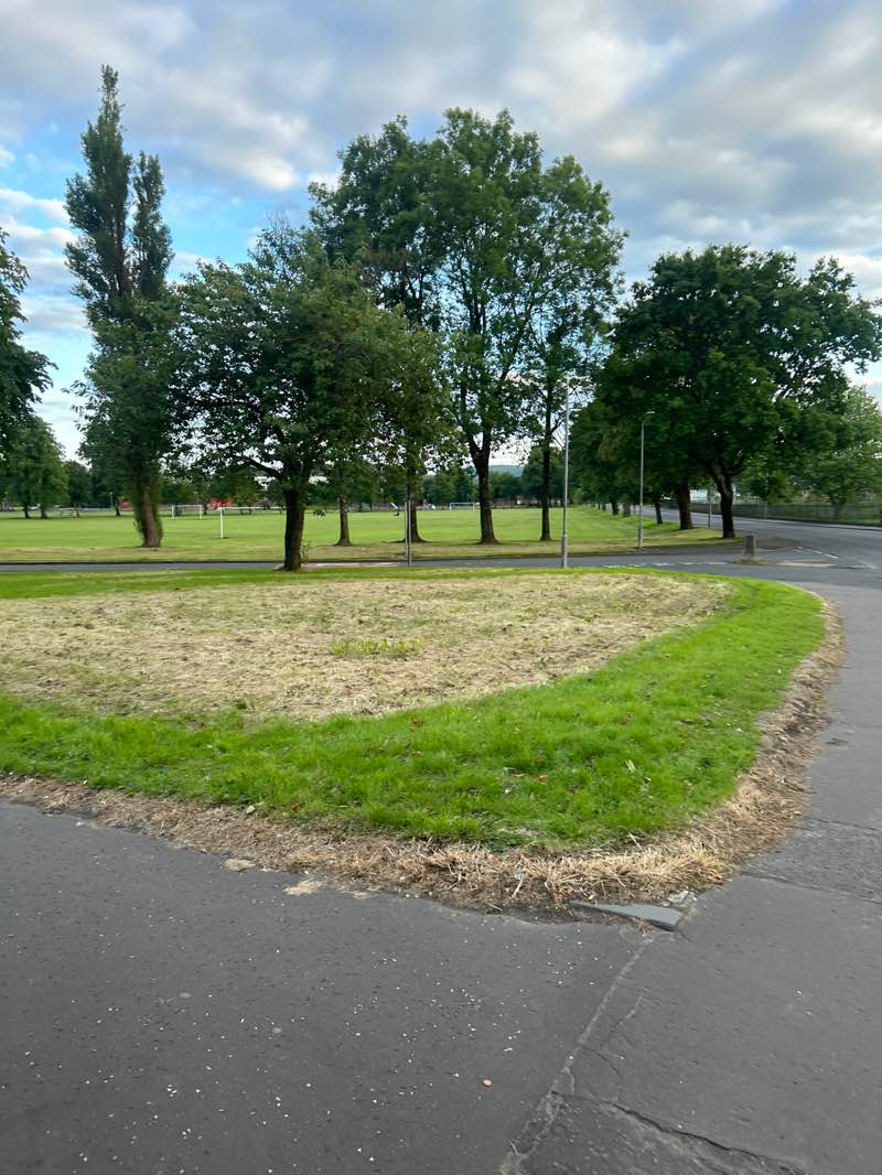 walking near me in Dumbarton Common in summer