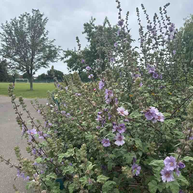 marta_cieslak12 post 1