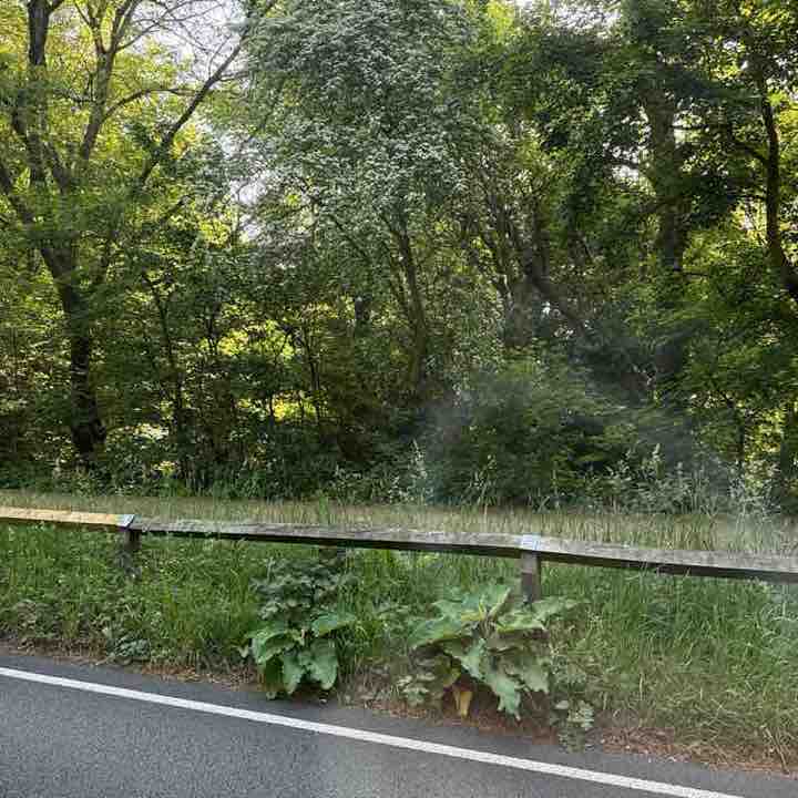 marta_cieslak12 post 1