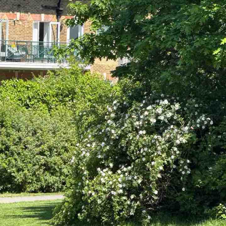 marta_cieslak12 post 1