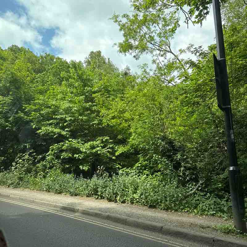 marta_cieslak12 post 1