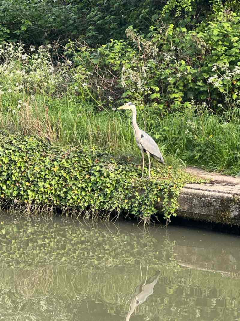walking near me in Secret Garden in spring