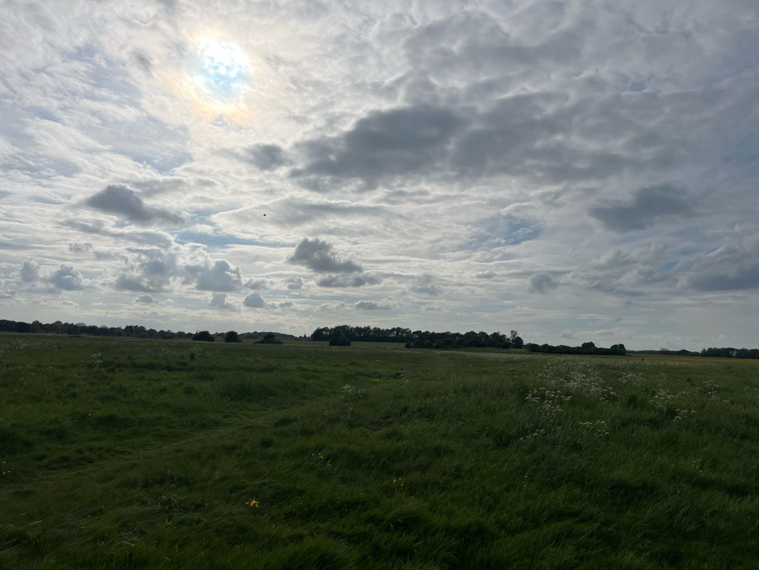 walking near me in Ouzel Valley Park in summer