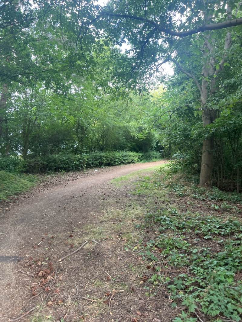 walking near me in Broughton Brook Linear Park in summer