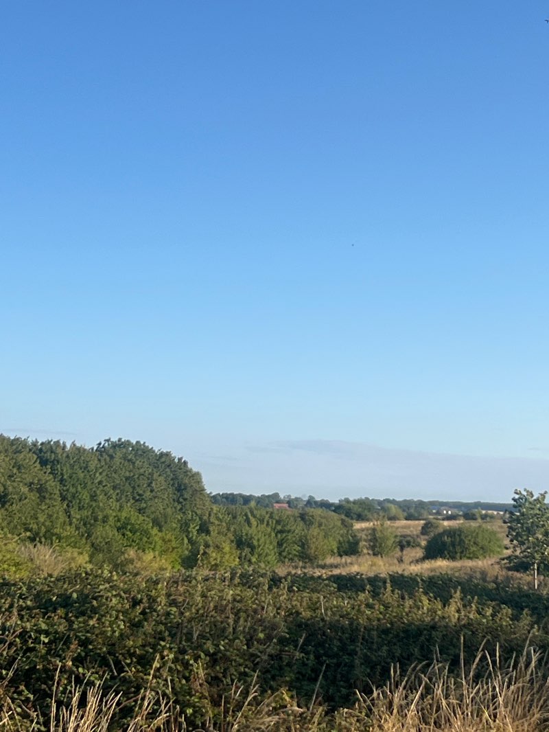 walking near me in Stanton Low Park in summer